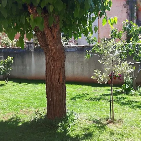 Ivan Apartmán Poreč