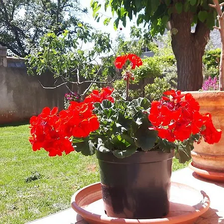 Apartmán Ivan Poreč