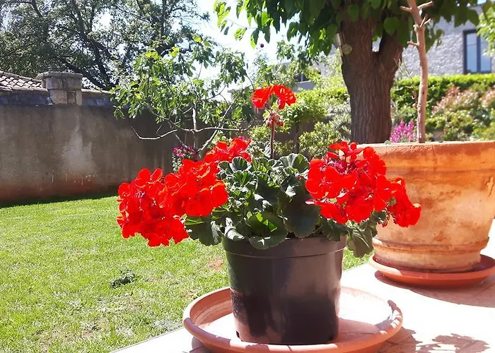 Apartmán Ivan Poreč