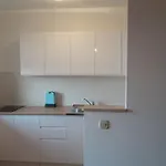 Ivan Apartment Porec